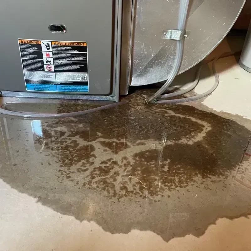 Appliance Leak Cleanup in Calhoun County, IL